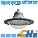 Bulk buy led garden light distributor for outdoor venues 1