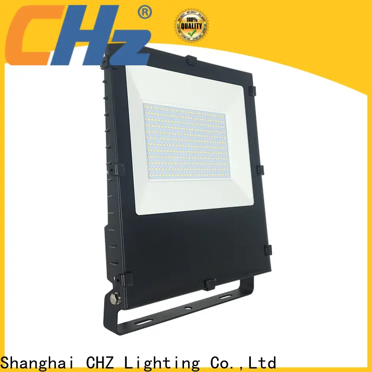Top flood lighting wholesale for sculpture 1