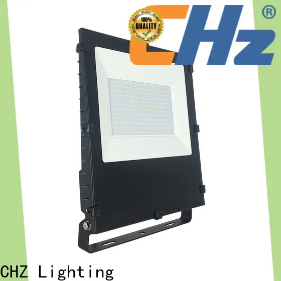 CHZ Lighting outdoor led flood lighting maker for sculpture 1