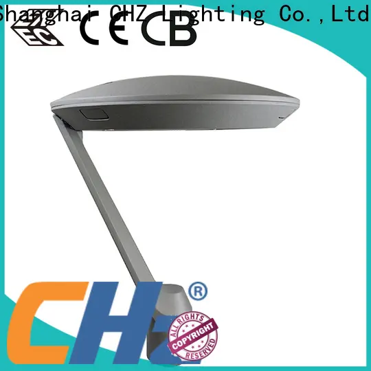 CHZ Lighting Latest outdoor yard lighting supply for gardens 1