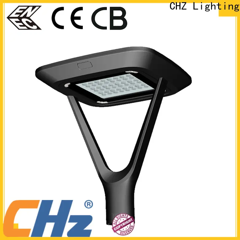 CHZ Lighting Professional led outdoor landscape lighting factory for gardens 1