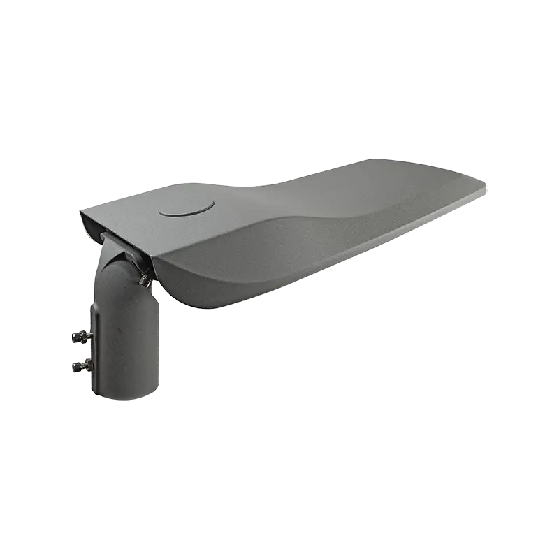 Outdoor Led Garden Lights by CHZ Lighting-2 2