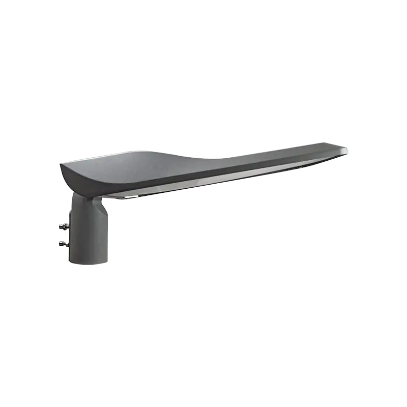 Outdoor Led Garden Lights by CHZ Lighting-2 7