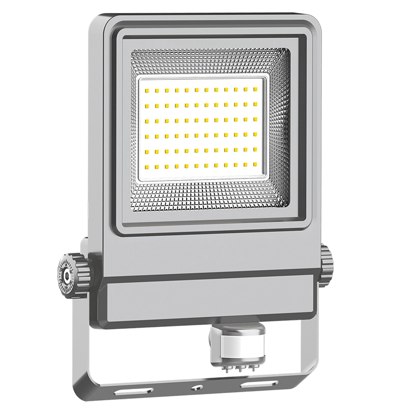 سلسلة CHZ-FL39 LED LED VLOOD Light Quality Superior & السطوع العالي 1