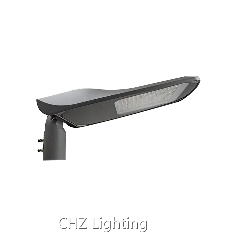 Outdoor Led Garden Lights by CHZ Lighting-2 1