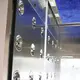 intelligent air shower system with automatic swing door for large scale semiconductor factory 2