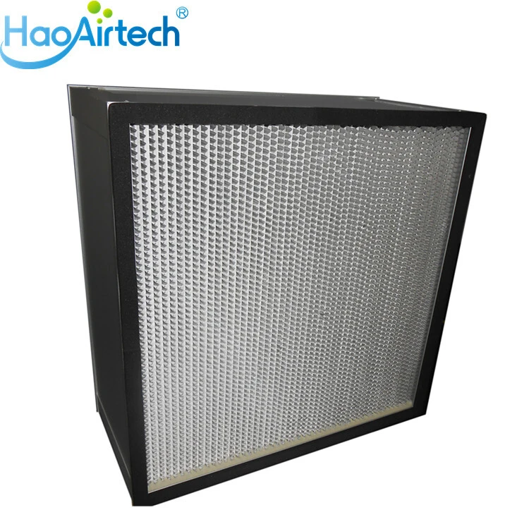 Deep Pleated HEPA Filter 1
