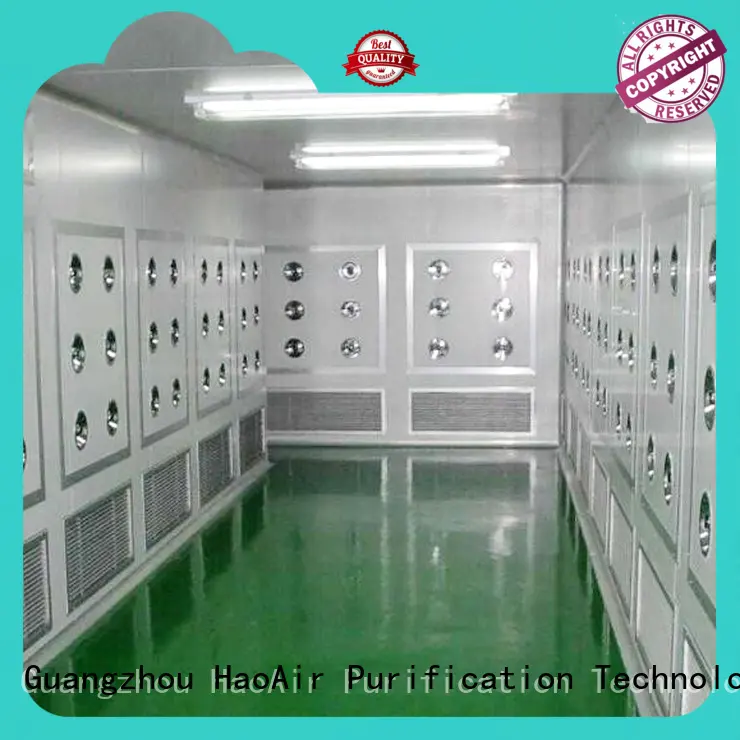 HAOAIRTECH air shower price with automatic swing door for oil refinery 1