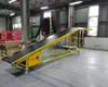 YiFan Conveyor truck container loading and unloading system for business for dock 5