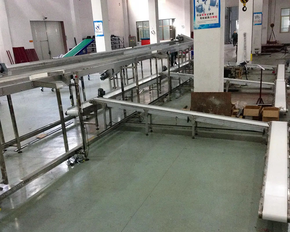 Latest small conveyor belt system heavy supply for medicine industry 2