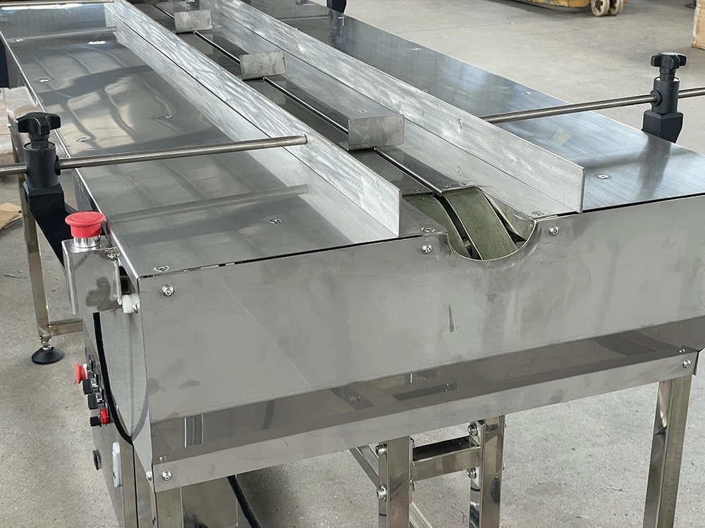 Cucumber transport conveyor,Stainless Steel Chain Conveyor 1