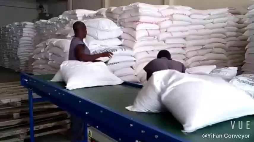 Automatic Cartons,Boxes Loading Unloading Conveyor Bag Stacking Mobile Belt Conveyor 1