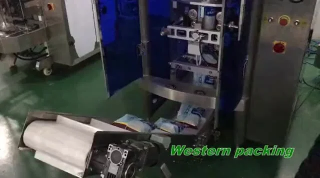 Factory price modular plastic belt conveyor in stainless steel 304 frame for vegetables and fruit 1