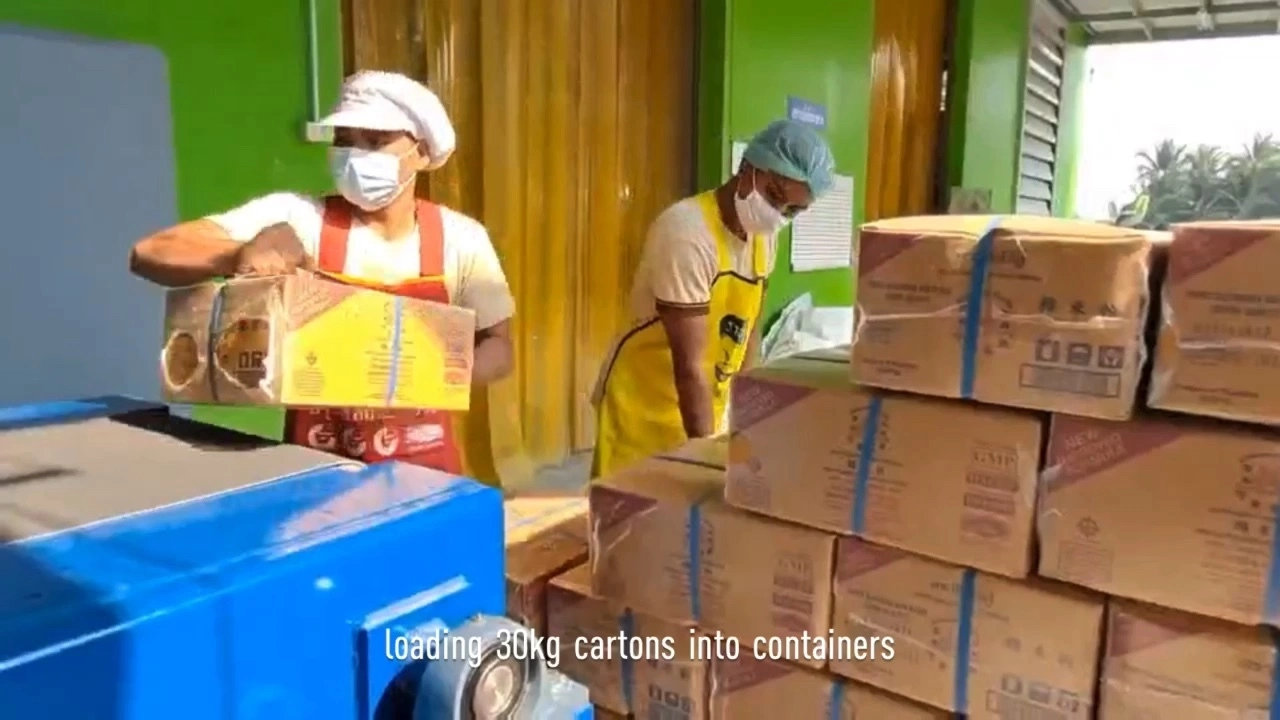 2022 China Manufactured Container Conveyor Load Conveyor Loading And Unloading Conveyor 1