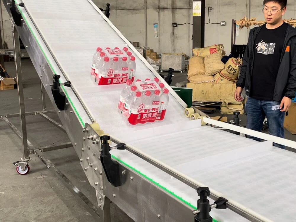 Customized White Mesh Belt Elevating Conveyor From China 1