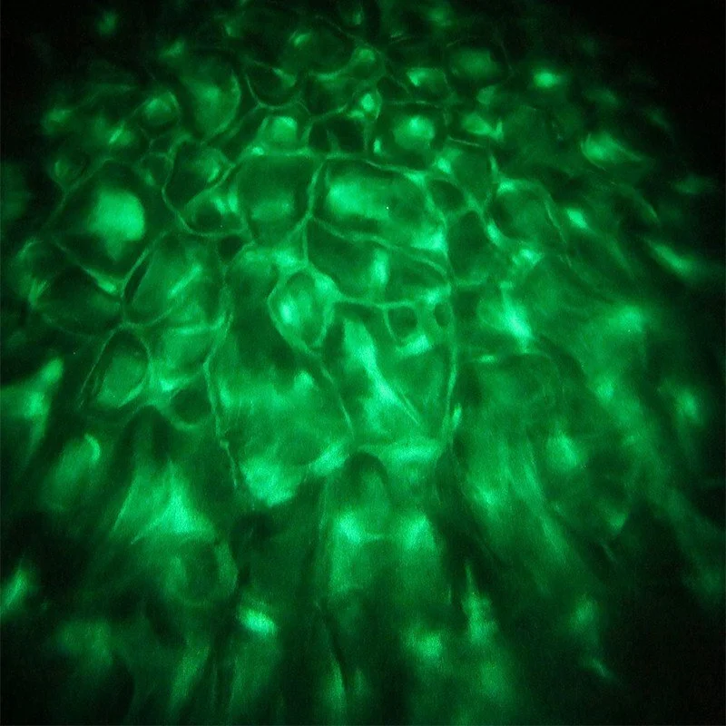gobo concert lights supplier for stage 5