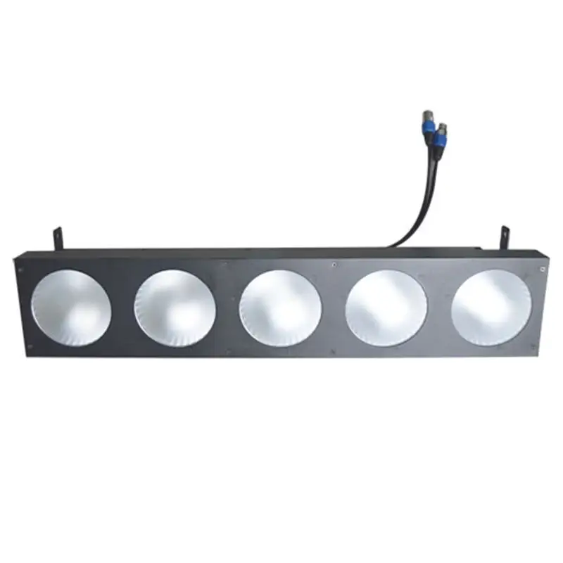 Led Light Matrix 5pcs 10W Warm White LEDFactory Price 2