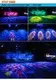 High-Quality Stage Lighting Equipment 4