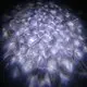 Marslite Brand matrix blinder flat cheap dj lights wall 8