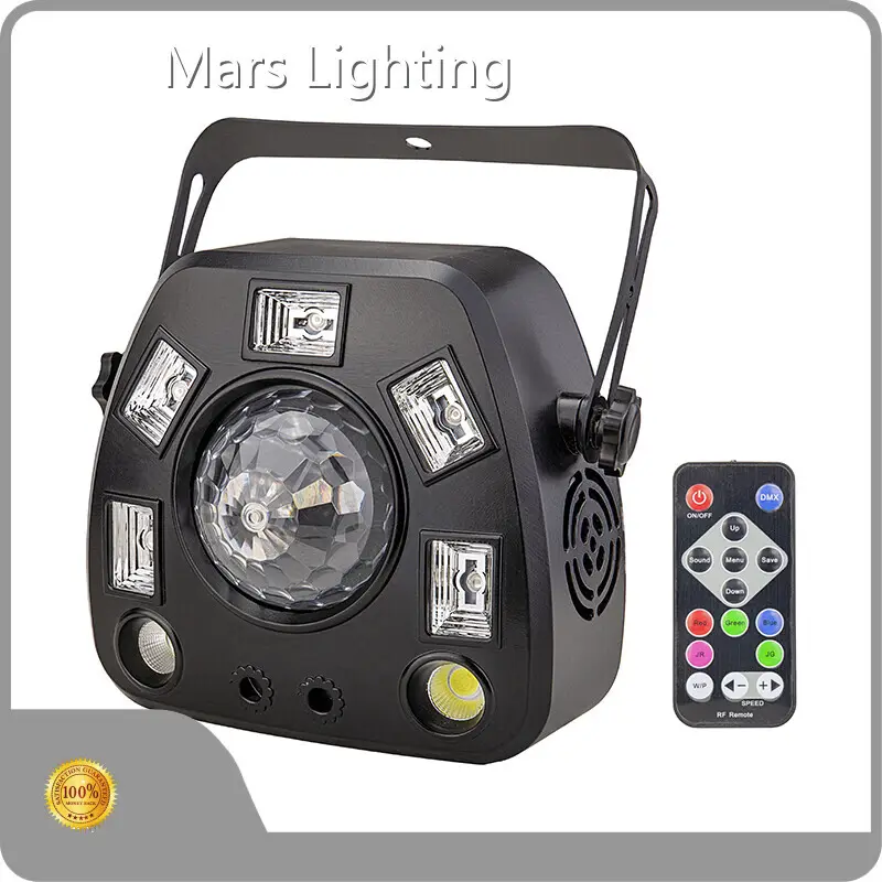 Custom Home Party Lights Supplier 1