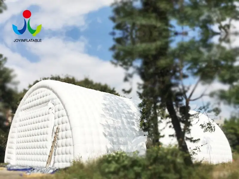 JOY inflatable Array image141