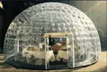 JOY inflatable spider inflatable tent price customized for children 3
