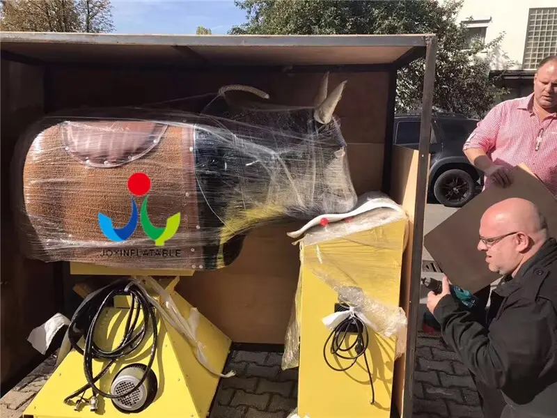 electric mechanical bull customized for child 8