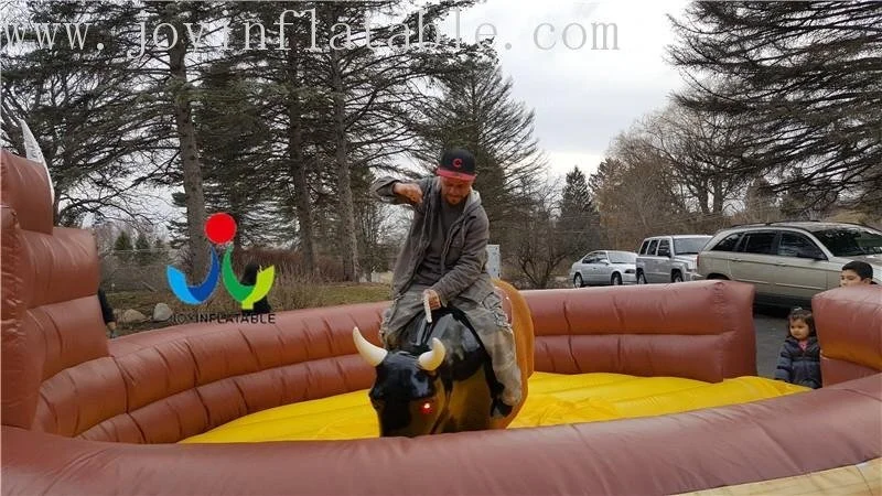 JOY inflatable pitchinflatable inflatable outdoor games supplier for child 3
