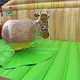 JOY inflatable waterproof inflatable football customized for outdoor 8