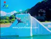 JOY Inflatable blow up trampoline maker for children 6