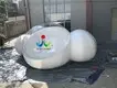Custom picnic  inflatable JOY inflatable 2