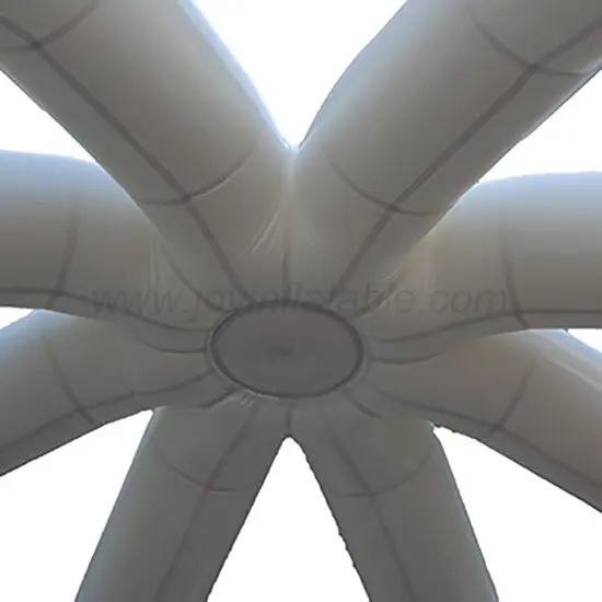 JOY inflatable giant inflatable dome 2