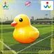JOY inflatable Inflatable water park inquire now for kids 1