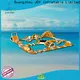 JOY inflatable equipment blow up water park inquire now for outdoor 1