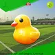display air inflatables factory for children 1