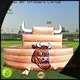 JOY inflatable dome inflatable football for sale for outdoor 1