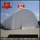 JOY inflatable advertising giant inflatable customized for child 1