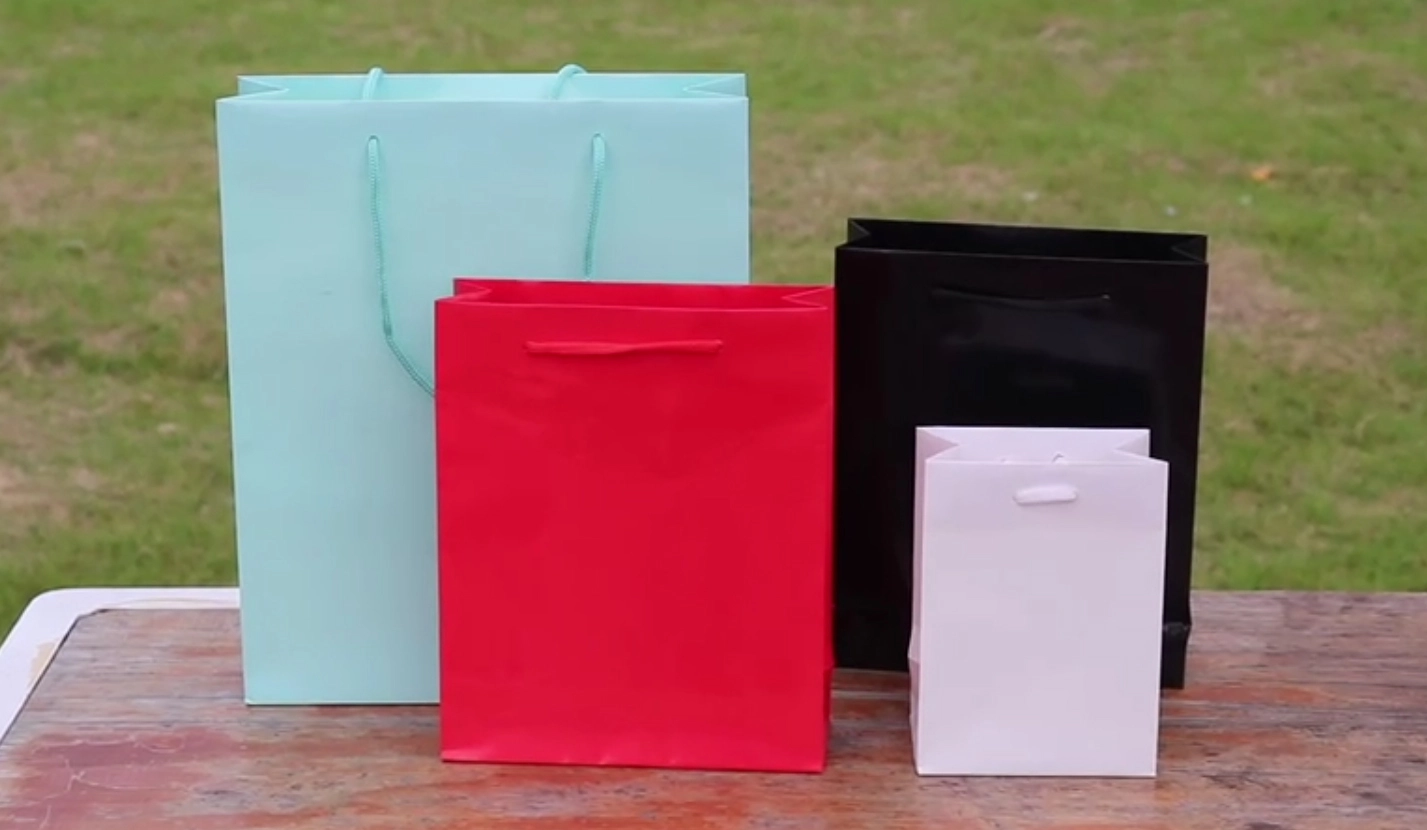 Custom printed gift Paper solid color bags with pp handle 1