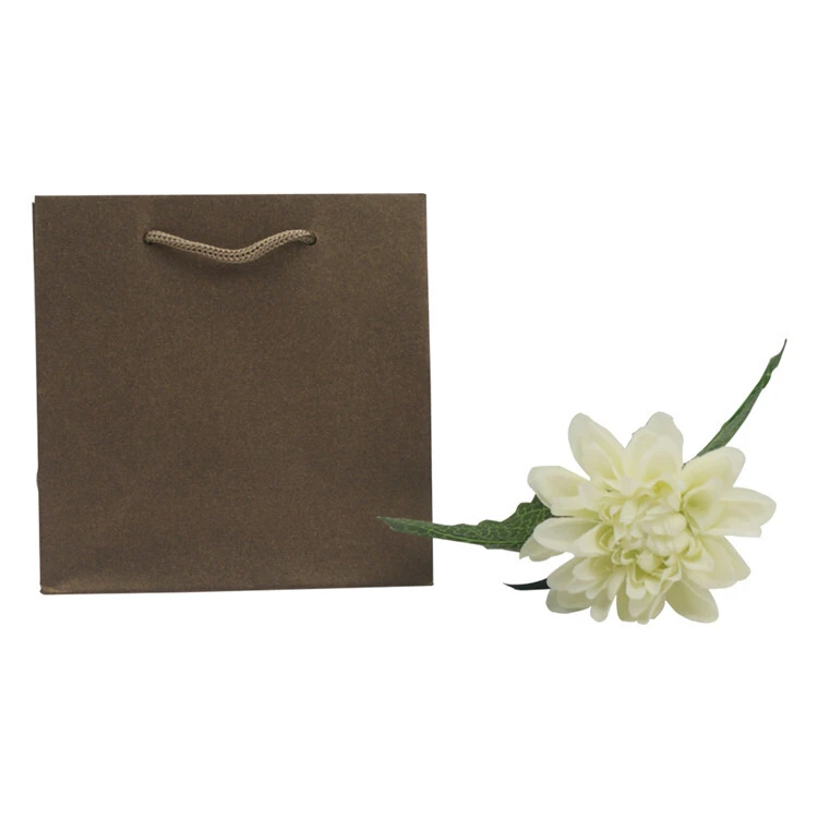 La corda del sacchetto di carta kraft in tinta unita riciclata gestisce il sacchetto di carta kraft per l'imballaggio della spesa 2
