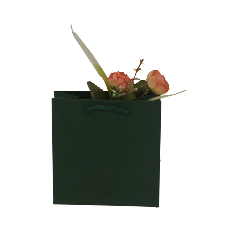 La aduana imprimió la bolsa de papel de Kraft del regalo de las compras del color sólido del reciclaje con las manijas 4