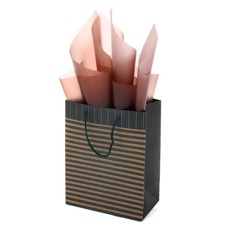 Simple design shopping kraft paper bag packaging 2