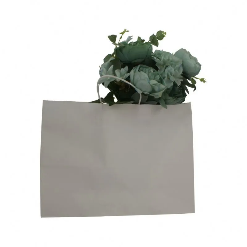 2019 sac d'emballage en papier kraft de style attrayant sac en papier kraft avec poignée en corde 1