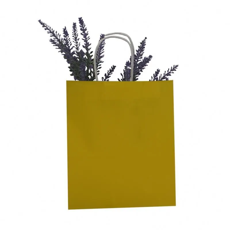 Excellent quality china kraft paper bag promotional color kraft paper bag 1