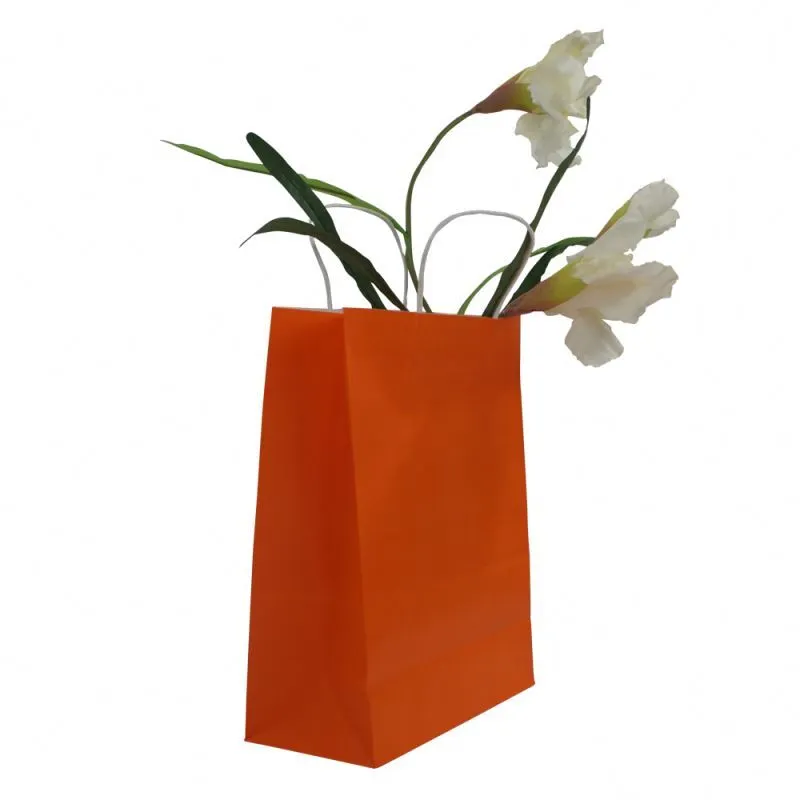 Newest selling natural kraft paper bag wonderful kraft paper gift bag 1