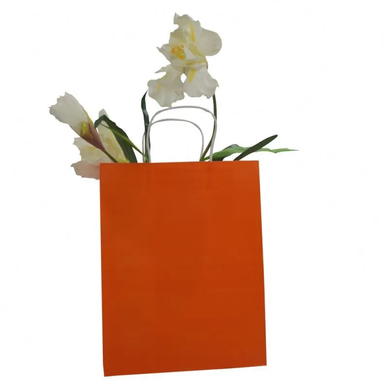 Top selling kraft gift paper bag workmanship kraft paper bag with logo 1