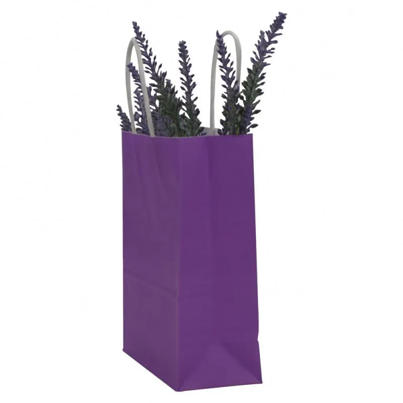 Nouveau sac en papier kraft de vente avec poignée sac d'emballage en papier kraft promotionnel 1