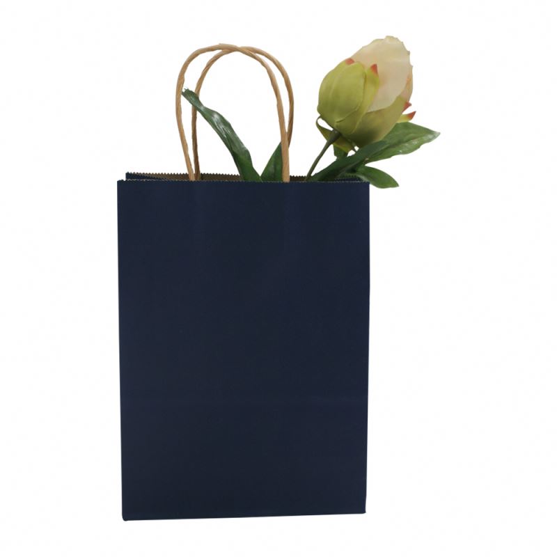 New product kraft bag handle gift packing kraft paper shopping bag 1
