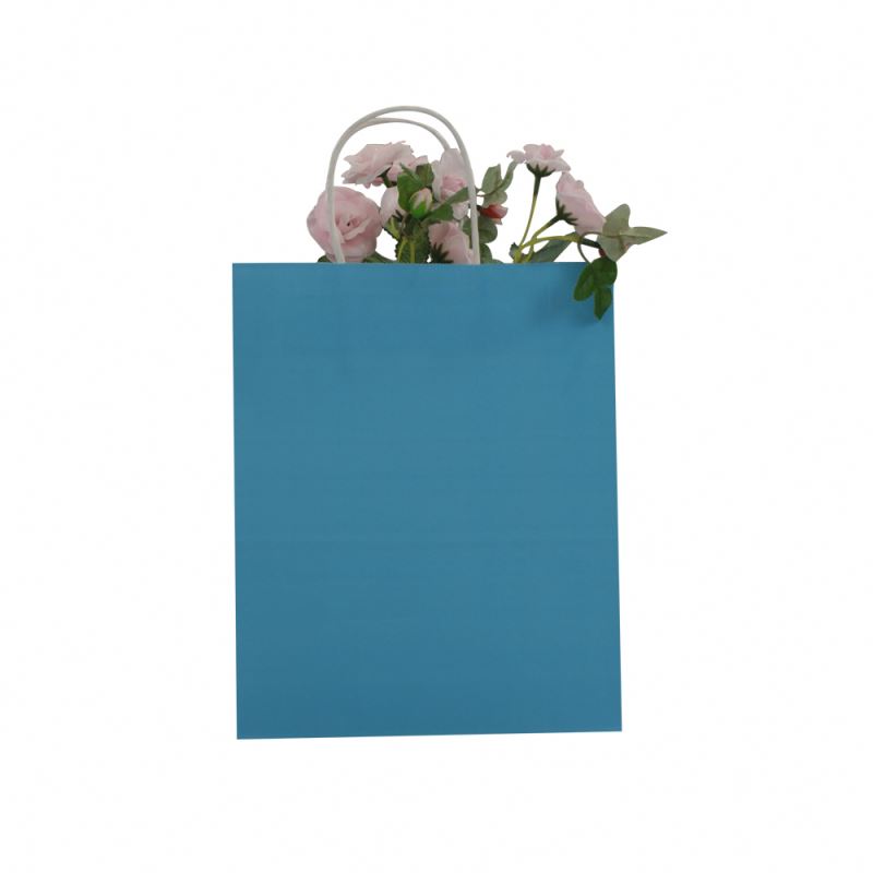Custom Recyclable Printed High Quality Packaging Kraft Paper Bag With Twisted Handles 3
