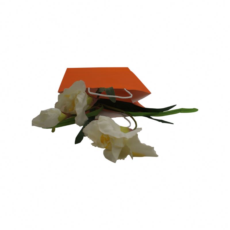 Custom Recyclable Printed High Quality Packaging Kraft Paper Bag With Twisted Handles 6