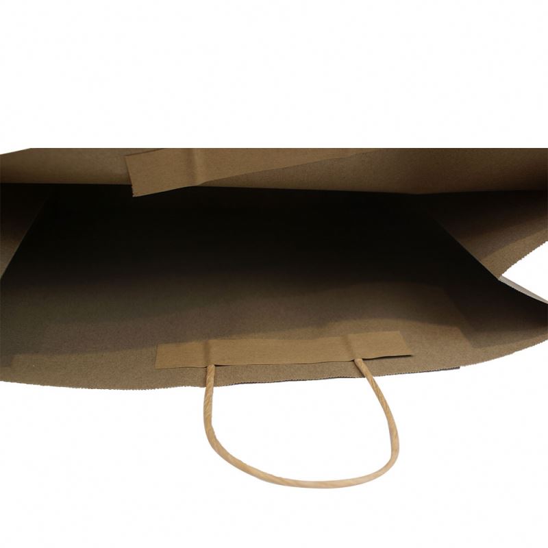 Custom Recyclable Printed High Quality Packaging Kraft Paper Bag With Twisted Handles 4